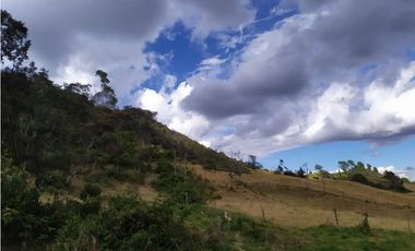 FINCA SE VENDE. TAUSA  CUND.