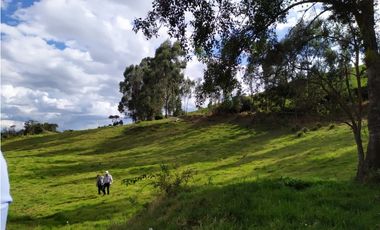 FINCA SE VENDE. TAUSA  CUND.