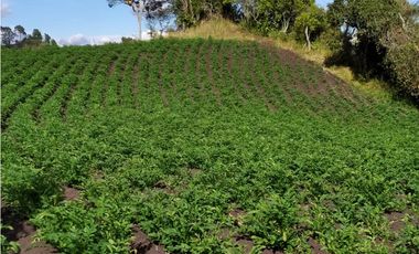 FINCA SE VENDE. TAUSA  CUND.