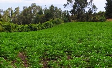 FINCA SE VENDE. TAUSA  CUND.