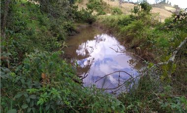 FINCA SE VENDE. TAUSA  CUND.