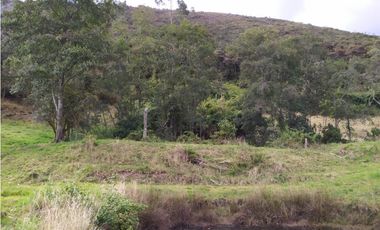 FINCA SE VENDE. TAUSA  CUND.