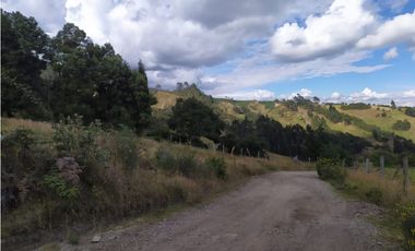 FINCA SE VENDE. TAUSA  CUND.