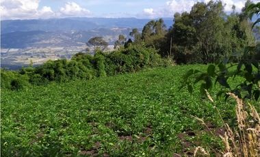 FINCA SE VENDE. TAUSA  CUND.