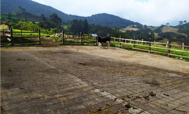 FINCA SE VENDE. TAUSA  CUND.