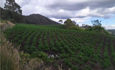 FINCA SE VENDE. TAUSA  CUND.