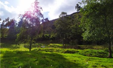 FINCA SE VENDE. TAUSA  CUND.