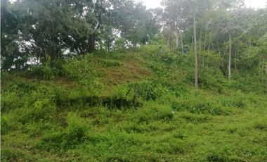 Venta de Lote  en La Estrella Antioquia - Vereda La Culebra