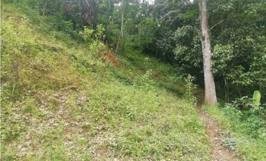 Venta de Lote  en La Estrella Antioquia - Vereda La Culebra
