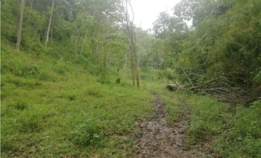 Venta de Lote  en La Estrella Antioquia - Vereda La Culebra
