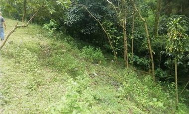 Venta de Lote  en La Estrella Antioquia - Vereda La Culebra
