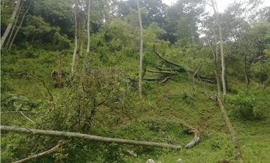 Venta de Lote  en La Estrella Antioquia - Vereda La Culebra