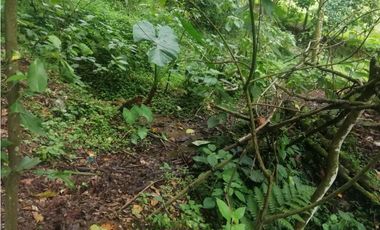 Venta de Lote  en La Estrella Antioquia - Vereda La Culebra