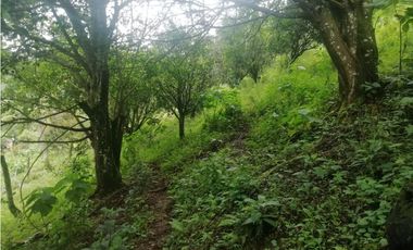 Venta de Lote  en La Estrella Antioquia - Vereda La Culebra
