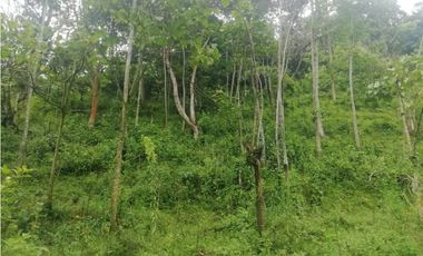 Venta de Lote  en La Estrella Antioquia - Vereda La Culebra