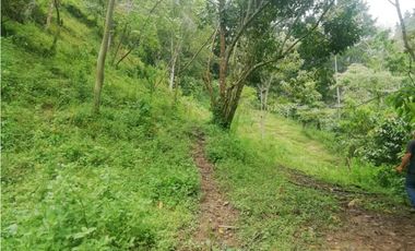 Venta de Lote  en La Estrella Antioquia - Vereda La Culebra
