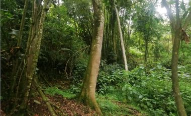 Venta de Lote  en La Estrella Antioquia - Vereda La Culebra