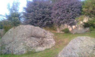 VENTA CASA LOTE TENJO