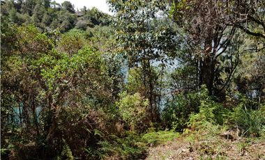 REFUGIO EN VENTA  VEREDA AGUACERITOS