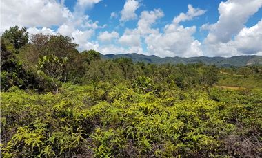 REFUGIO EN VENTA  VEREDA AGUACERITOS