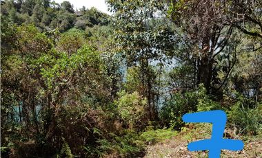 REFUGIO EN VENTA  VEREDA AGUACERITOS