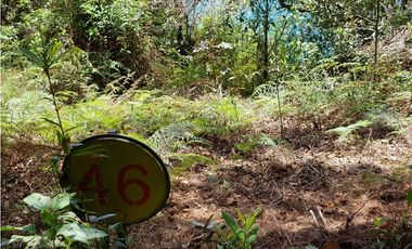 REFUGIO EN VENTA  VEREDA AGUACERITOS