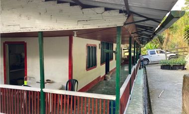 VENDO FINCA EN COELLO-TOLIMA