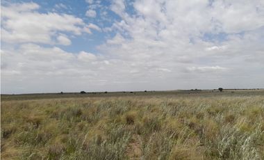 VENTA CAMPO MARTIN DE LOYOLA  GANADERO OPORTUNIDAD SAN LUIS