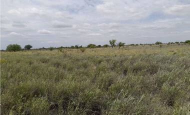 VENTA CAMPO MARTIN DE LOYOLA  GANADERO OPORTUNIDAD SAN LUIS