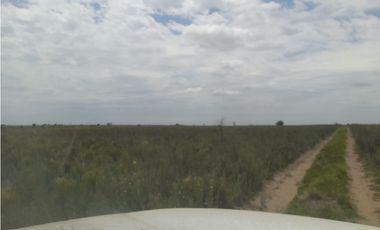 VENTA CAMPO MARTIN DE LOYOLA  GANADERO OPORTUNIDAD SAN LUIS