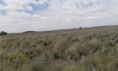 VENTA CAMPO MARTIN DE LOYOLA  GANADERO OPORTUNIDAD SAN LUIS
