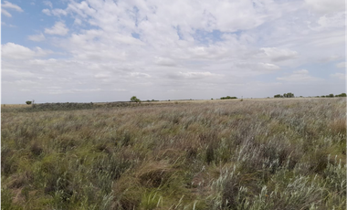 VENTA CAMPO MARTIN DE LOYOLA  GANADERO OPORTUNIDAD SAN LUIS