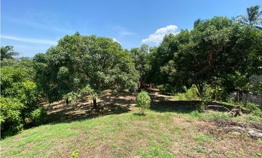 SE VENDE LOTE SOBRE LA VA MASINGA, SANTA MARTA