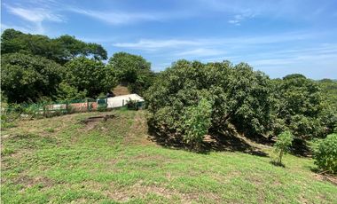 SE VENDE LOTE SOBRE LA VA MASINGA, SANTA MARTA