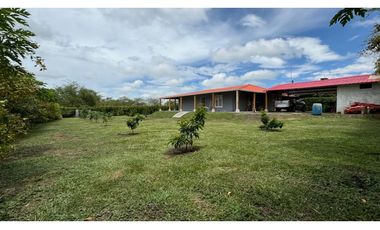 Finca en parcelación en venta / permuta Tienda Nueva Palmira Valle