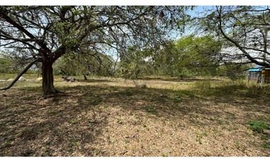 Lote de 2.080m2 en parcelación en venta Tienda Nueva Palmira Valle