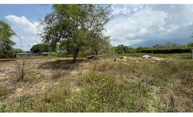 Lote de 2.080m2 en parcelación en venta Tienda Nueva Palmira Valle