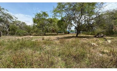 Lote de 2.080m2 en parcelación en venta Tienda Nueva Palmira Valle