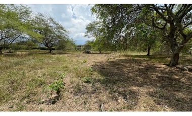 Lote de 2.080m2 en parcelación en venta Tienda Nueva Palmira Valle