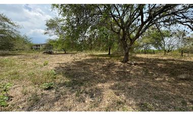 Lote de 2.080m2 en parcelación en venta Tienda Nueva Palmira Valle