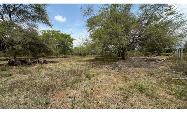 Lote de 2.080m2 en parcelación en venta Tienda Nueva Palmira Valle