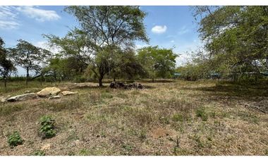 Lote de 2.080m2 en parcelación en venta Tienda Nueva Palmira Valle