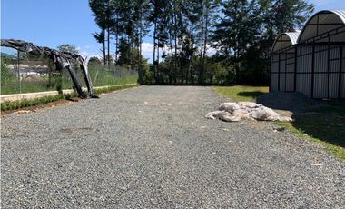 Alquiler de ofi bodega en Llanogrande