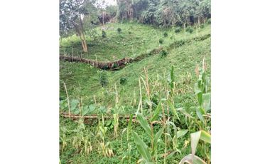 VENTA LOTE MINCA CERCA A CAMPANO