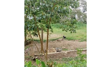 VENTA LOTE MINCA CERCA A CAMPANO