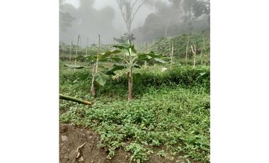 VENTA LOTE MINCA CERCA A CAMPANO