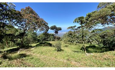 VENTA LOTE MINCA CERCA A CAMPANO