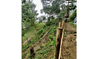 VENTA LOTE MINCA CERCA A CAMPANO