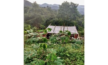 VENTA LOTE MINCA CERCA A CAMPANO