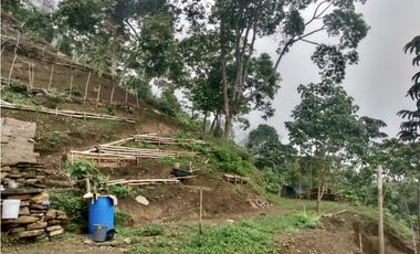 VENTA LOTE MINCA CERCA A CAMPANO